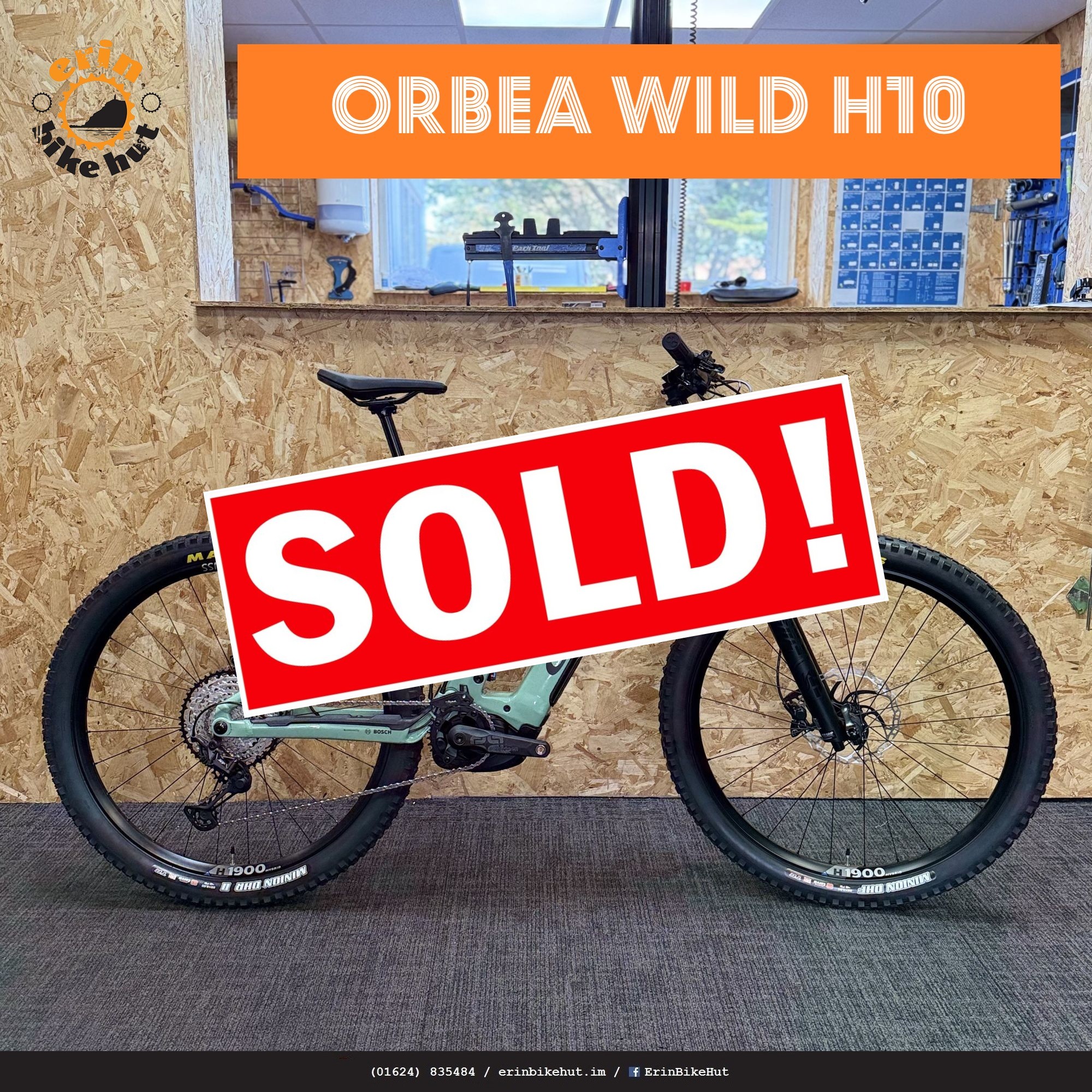Orbea Wild H10